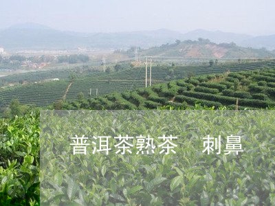 普洱茶熟茶 刺鼻/2023041015058